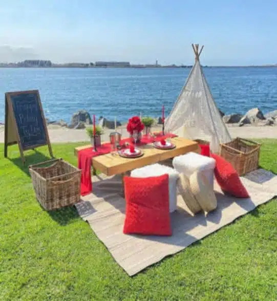 Picnic Setup Package