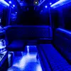 Mercedes Mini Limo Bus pic paint